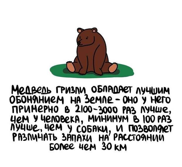 Любопытные коротенькие факты на все случаи жизни