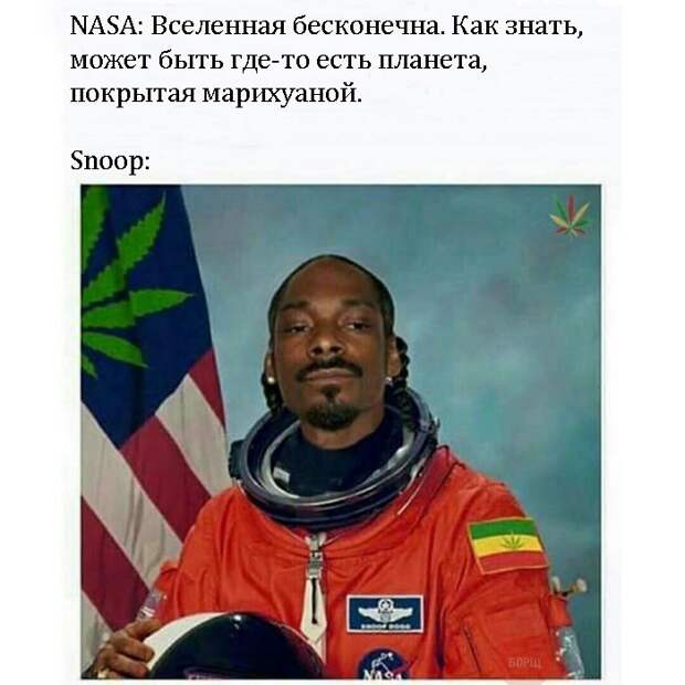 Картинки и приколы из социальных сетей (40 фото)