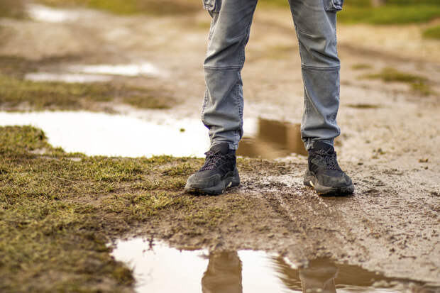 Ветеринар Сысоев: с обувью можно занести в квартиру опасные бактерии