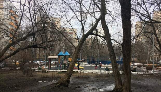 Двор на улице Академика Скрябина, дом д. 26, корп. 1 сейчас. Фото: Пресс-служба проекта "Мой район" 