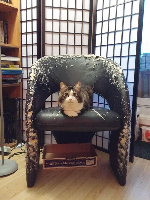 Трон короля разрушений Трон короля разрушений