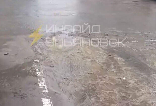 «Новая жизнь» утонула в фекалиях