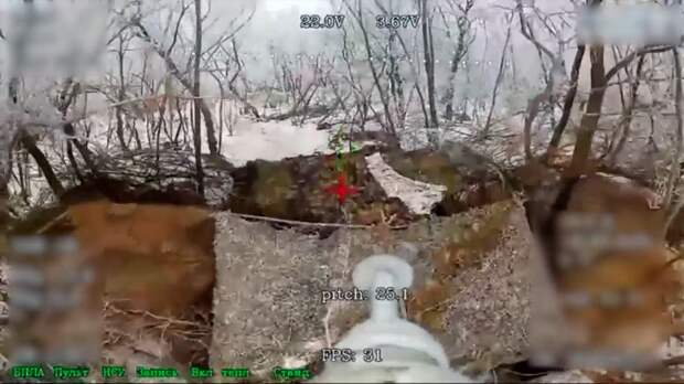 Дроноводы уничтожили группы огневой поддержки ВСУ в Запорожской области