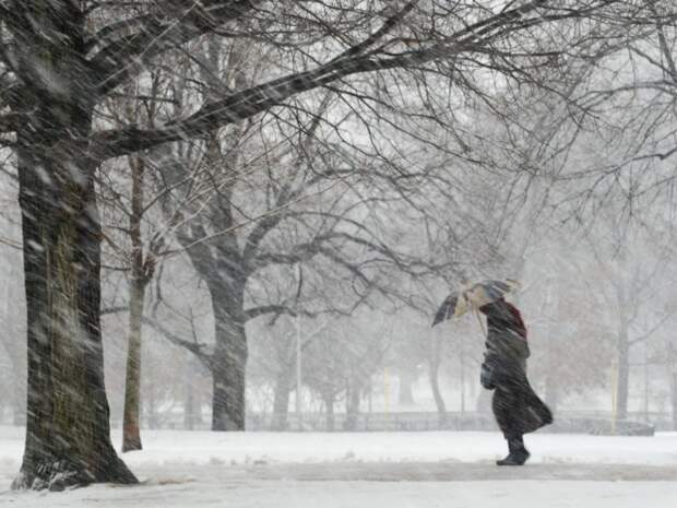 Москвичей предупредили об аномально холодном марте