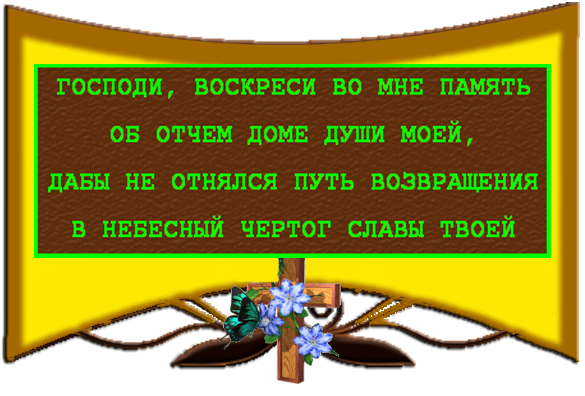 Изображение с кодом 5236938