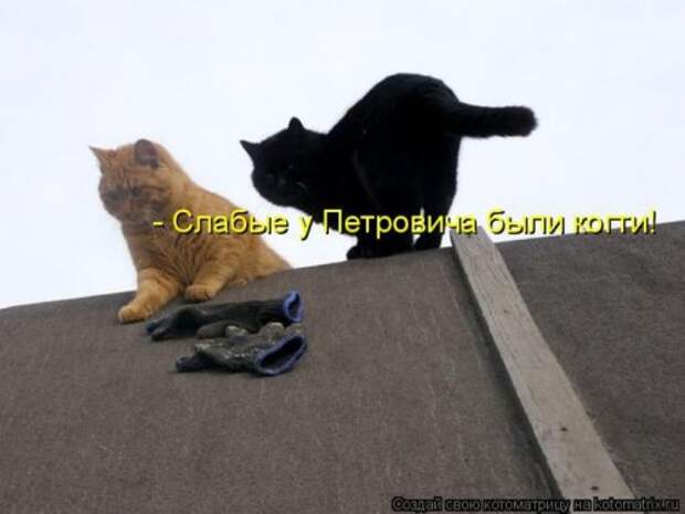 Забавные котоматрицы