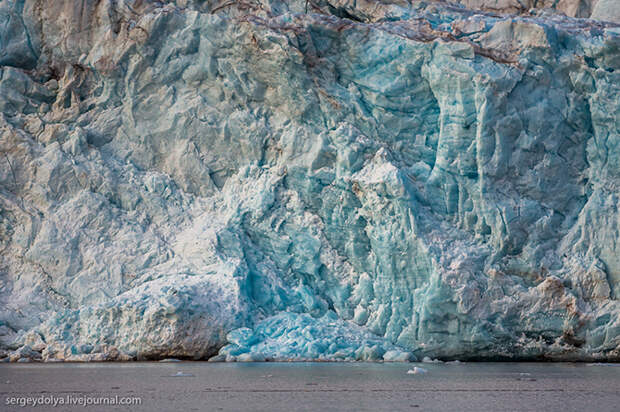Путешествие к леднику Норденшельда в бухте Адольф
