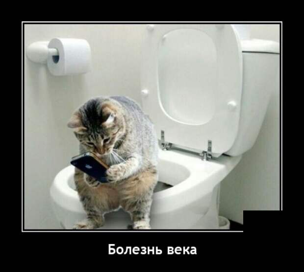 Демотиваторы 4 января 2022 года