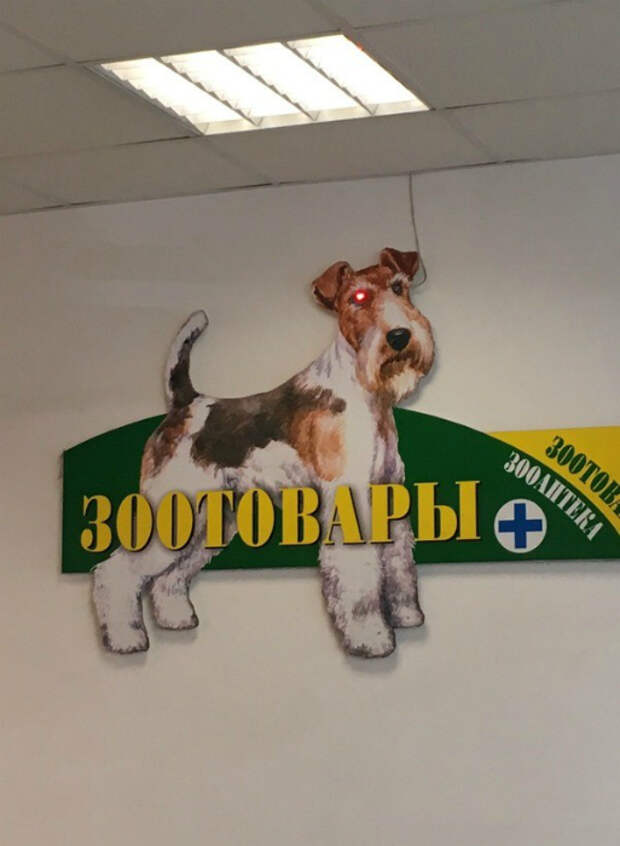 Зловещий взгляд. Зловещий взгляд.