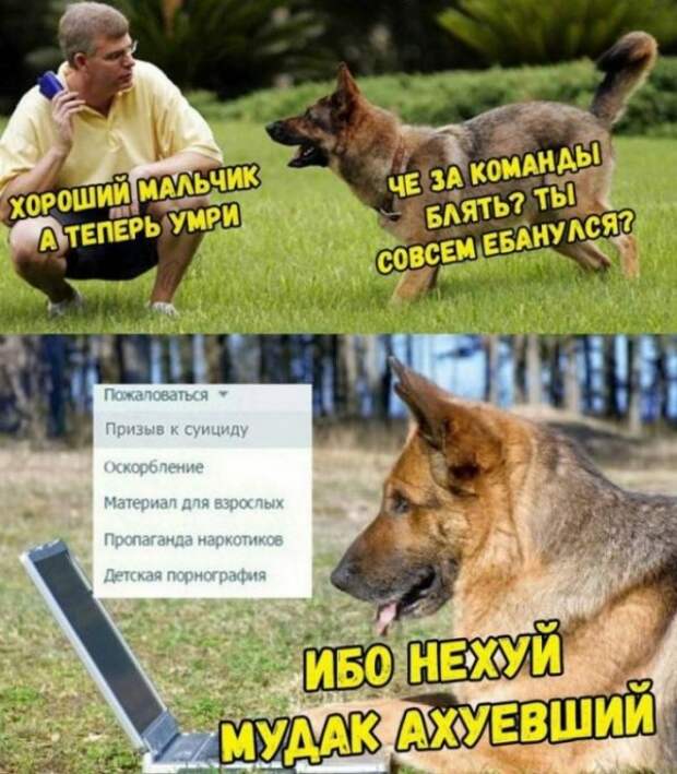 Немного картинок для настроения
