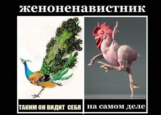 Женоненавистники Нереальная оценка реальности