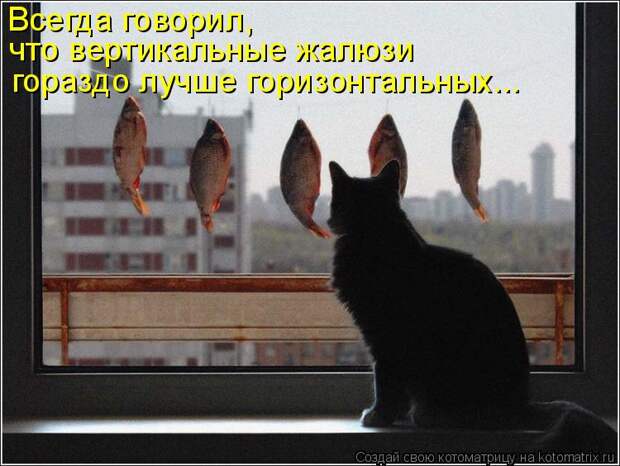 Котоматрица - Всегда говорил, что вертикальные жалюзи гораздо лучше горизонтальных.