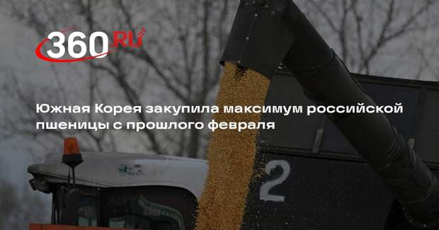Южная Корея закупила максимум российской пшеницы с прошлого февраля