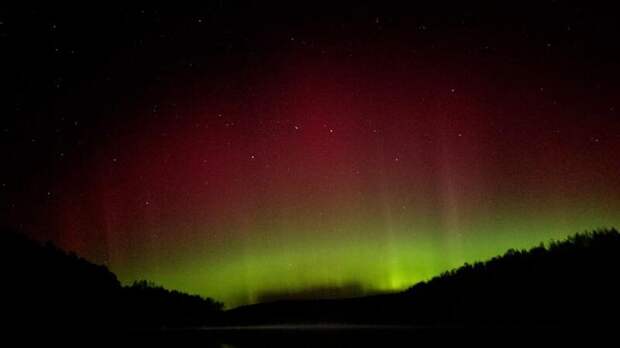 Источник фото: Mash Siberia