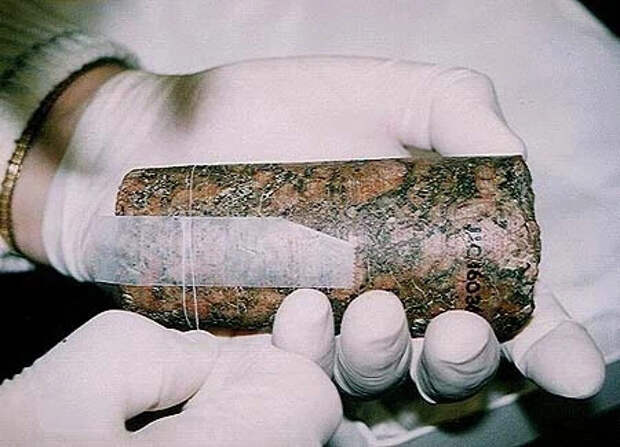 Тайна древнеегипетского керна №7 из лондонского Музея Петри