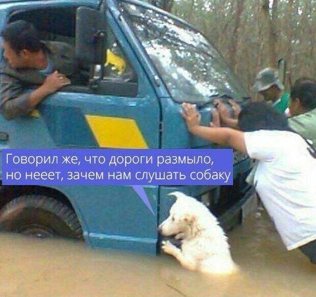 Смешные картинки (20 фото)