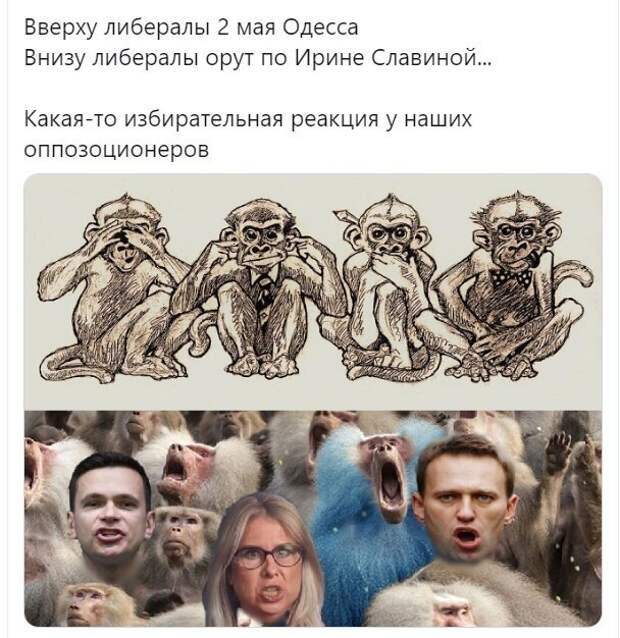 Политические картинки.2