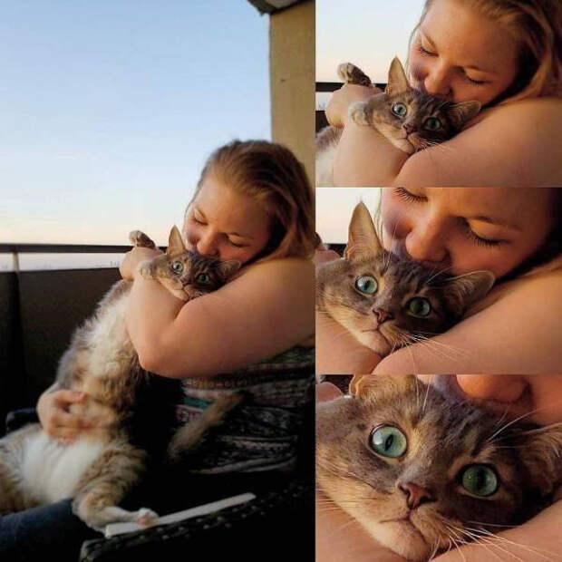 Забавные животные, которые подарят улыбку