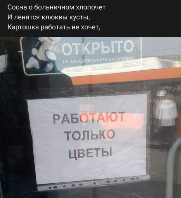 стих про цветы