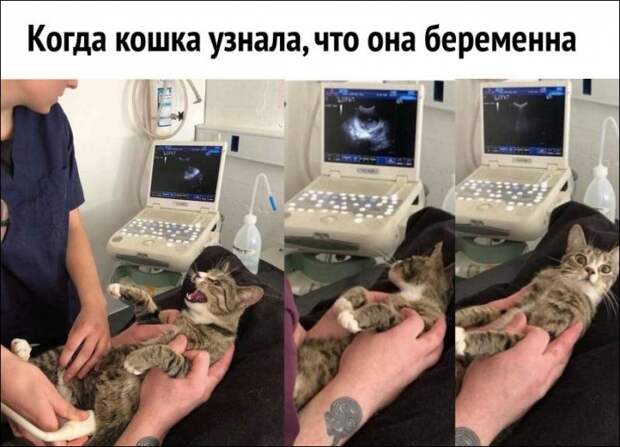 Фотоподборка