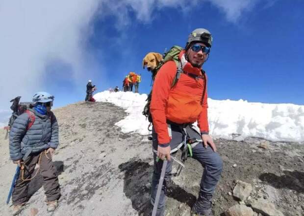 Альпинисты поднялись на самый высокий вулкан Мексики, чтобы спасти бездомного пса