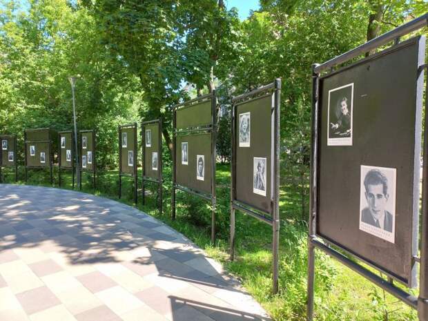 На Черняховского появилась аллея с портретами знаменитых жителей района Аэропорт