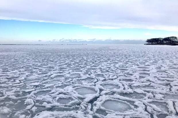 Озеро Мичиган в Чикаго покрылось странными «ледяными блинами»