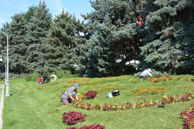В Астрахани на площади Ленина привели в порядок цветники