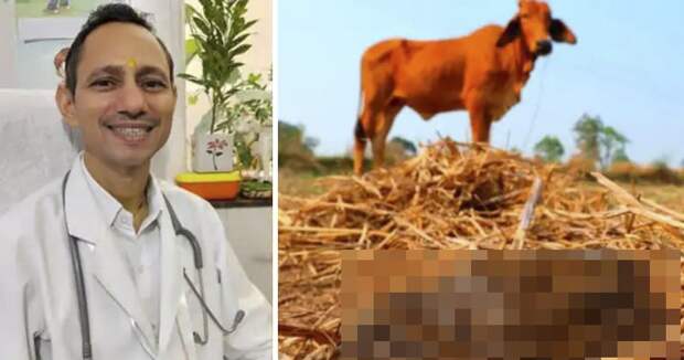 Индийский врач ест коровий навоз и рекомендует его пациентам