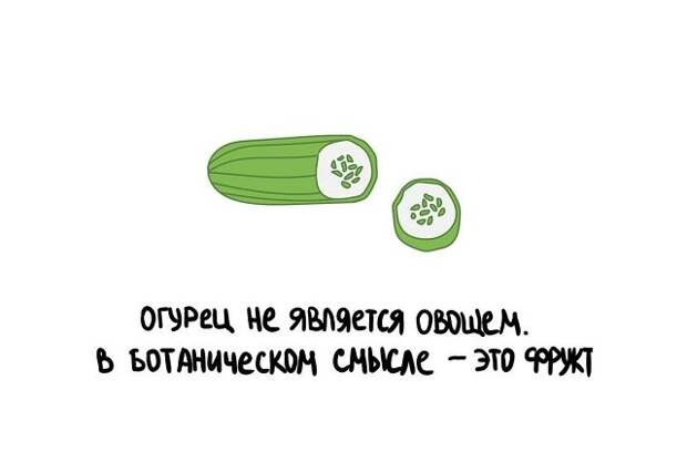Любопытные коротенькие факты на все случаи жизни