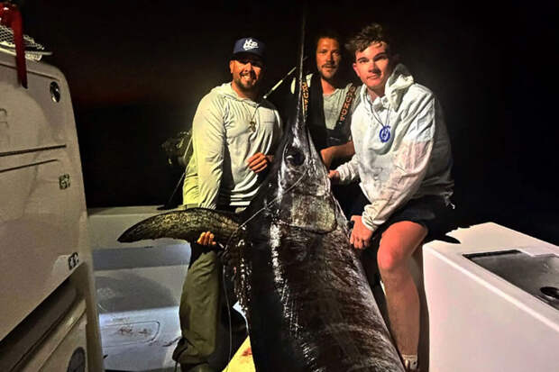 Fox News: в США мужчина поймал рекордную рыбу-меч весом 218 кг