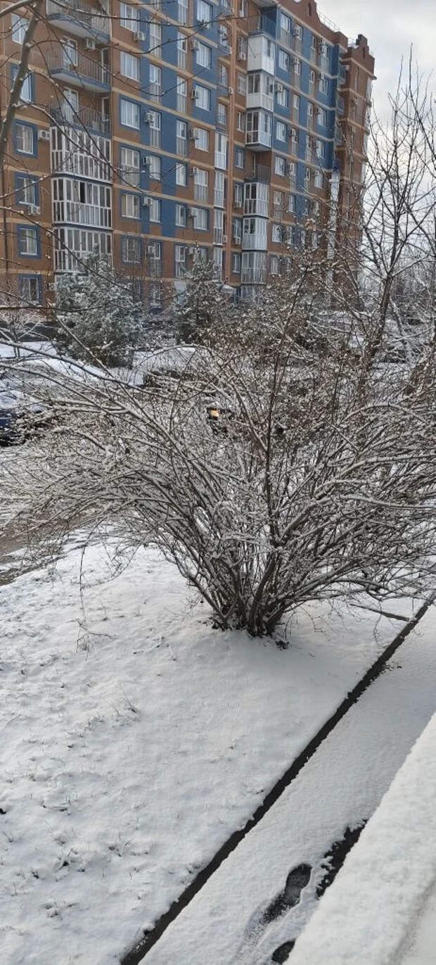 Срочно! Экстренное предупреждение по Кубани!