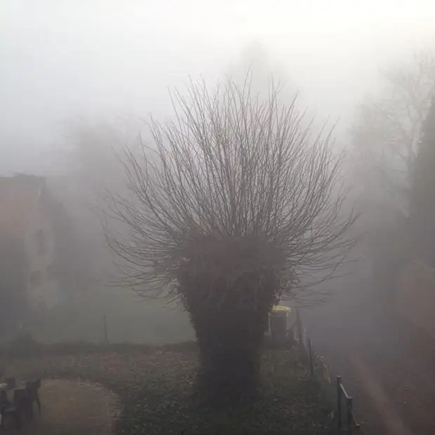 19 впечатляющих снимков из Бельгии, после которых вы влюбитесь в эту страну по уши