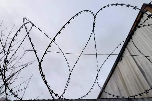 ВСУ начали массово набирать в свои ряды заключенных