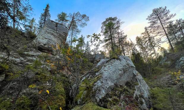 Пинежский заповедник