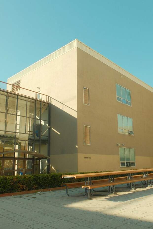 Минпросвещения поддерживает обязательные дежурства и уборку в школах как инструменты трудового воспитания