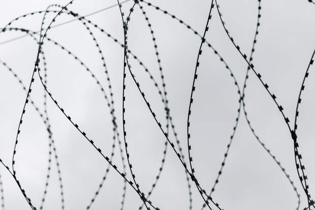 Пропагандировавший идеи запрещенного РДК россиянин получил срок