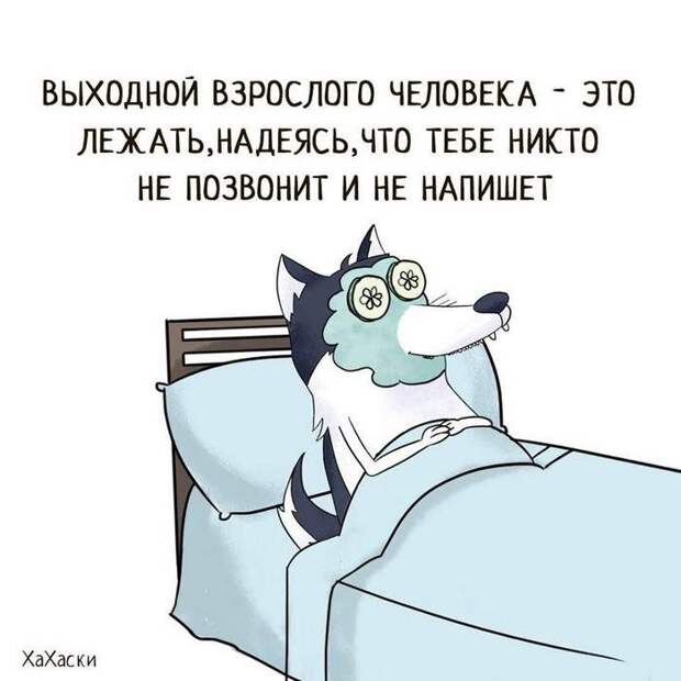 17 разрывных анекдотов для отличного настроя. Позитив на весь день!