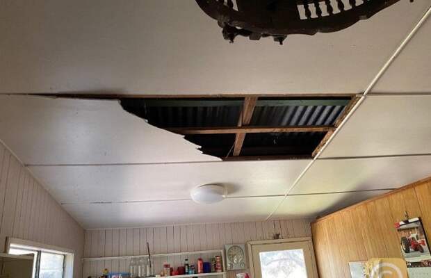 Дэвид Тейт вернулся из отпуска и нашел в доме необычных гостей
