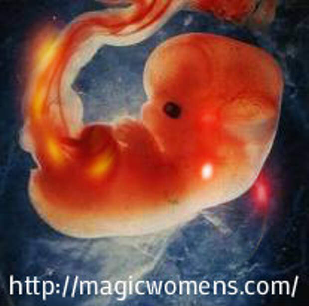 родить или аборт 6 недель