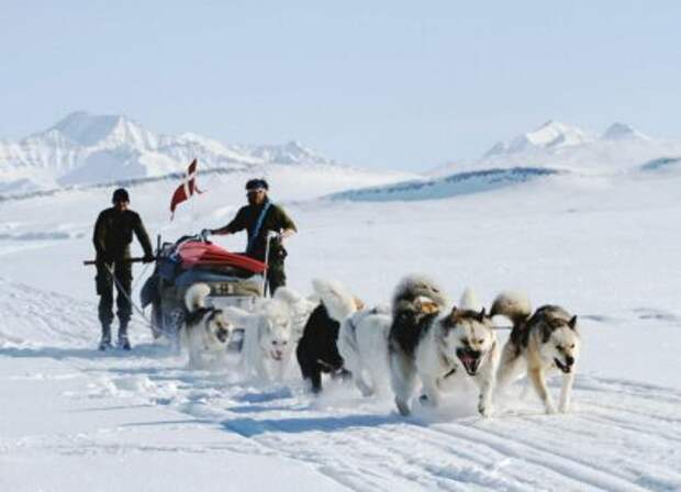 Какой будет встреча бундесвера и американской армии в Гренландии