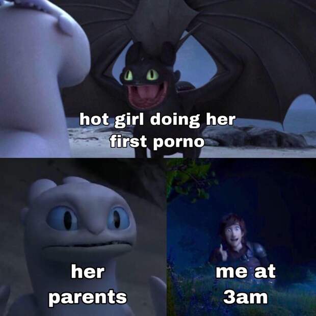 Toothless dragon and Light Fury memes