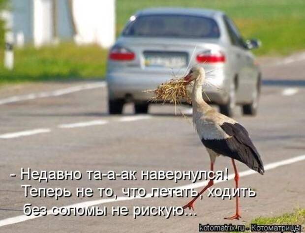 Новые крутые котоматрицы первой недели октября (50 фото) Новые крутые котоматрицы первой недели октября (50 фото)