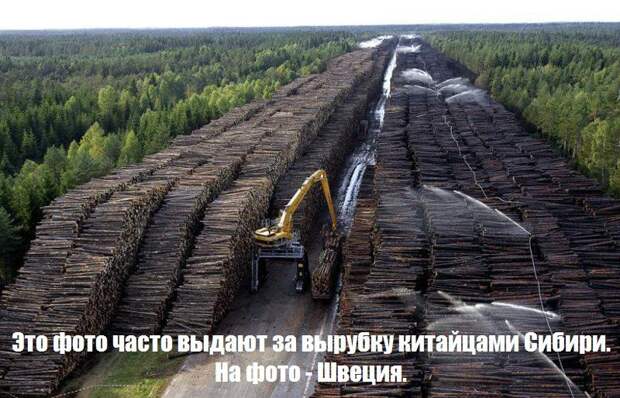 Авторы фейков про то, как Китай весь Байкал выпил и лес в Сибири вырубил