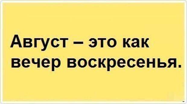 Цитаты дня. Очень точные!