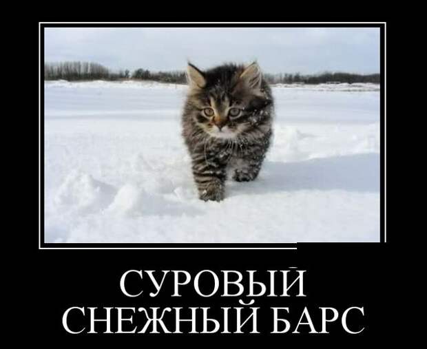 Демотиваторы (30 фото)