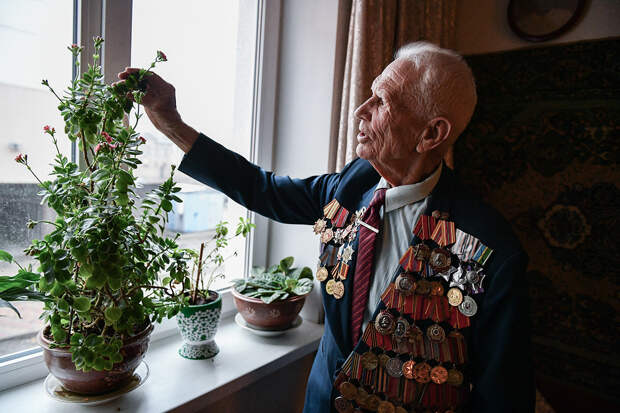 10 самых популярных в России комнатных растений
