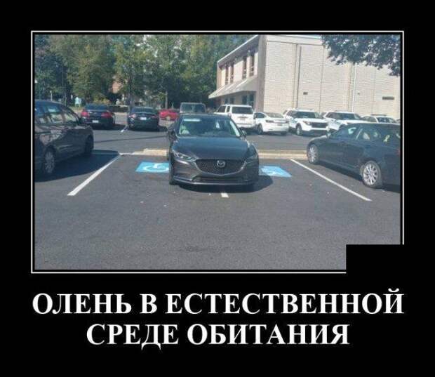 demotivatory-demotivator-smeshnye-demotivatory-demotivator-so-smyslom