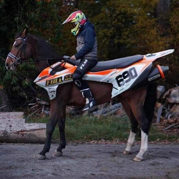 kartinok-veselyh-interesnyh-kartinki-smeshnye-kartinki-fotoprikoly