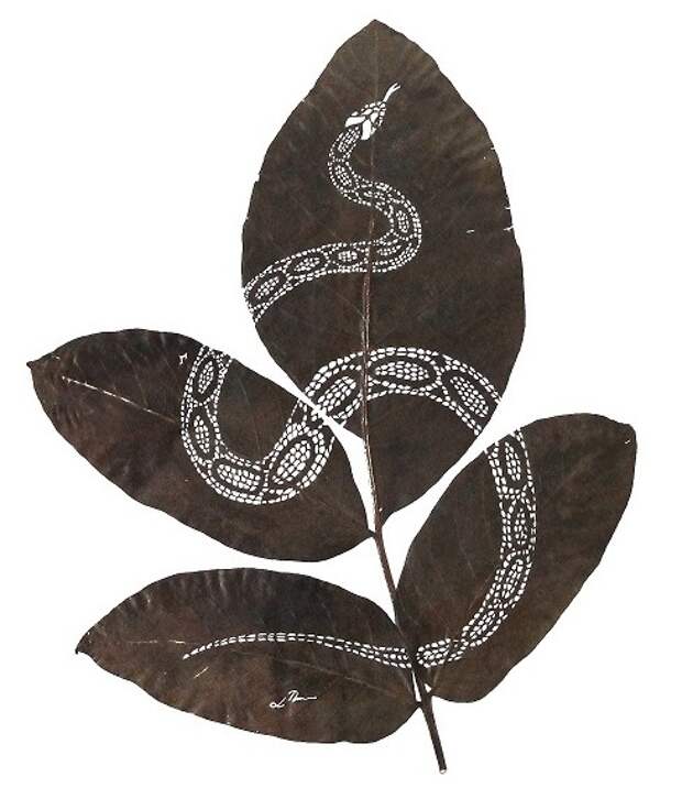 serpiente-ii-30-cm-x-25-cm-species-juglans-regia.jpg